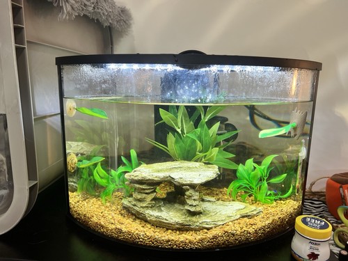 Top fin corner glass aquarium - glass,