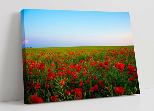 Poppy field canvas wall art - field,