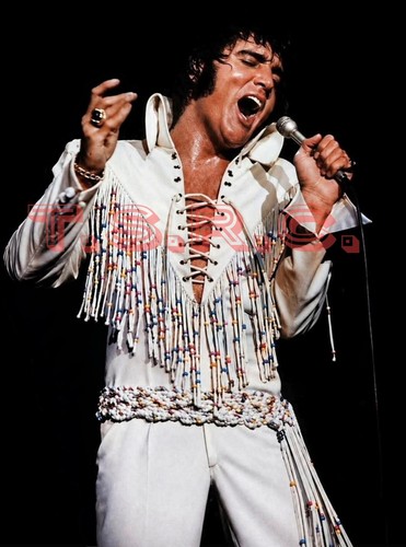 Poster elvis presley - of,
