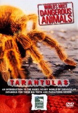 The World's Most Dangerous Animals: Tarantulas DVD (2005) cert E Amazing Value