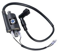 Ignition Coil +Wire Fits