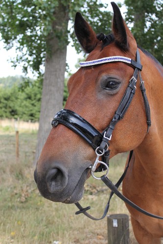 New designer look topaz - new,