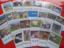 ANIMALS & THEIR BABIES - 24 FLASH CARDS- TEACHING RESOURCE- EARLY YEARS- EYFS