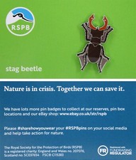 RSPB Pin Badge Stag Beetle NIIC P03016