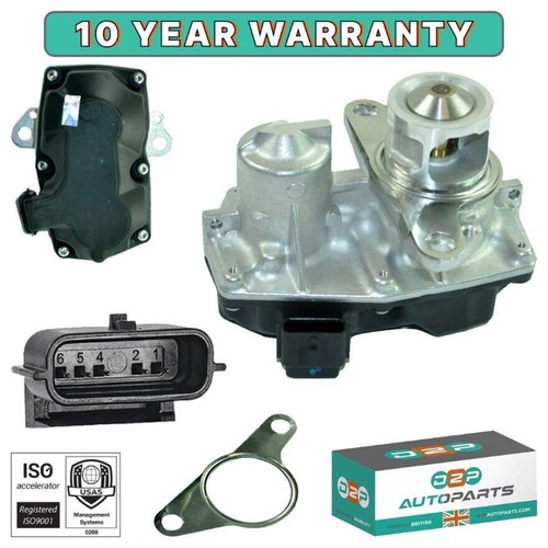 Exhaust gas recirculation - exhaust,