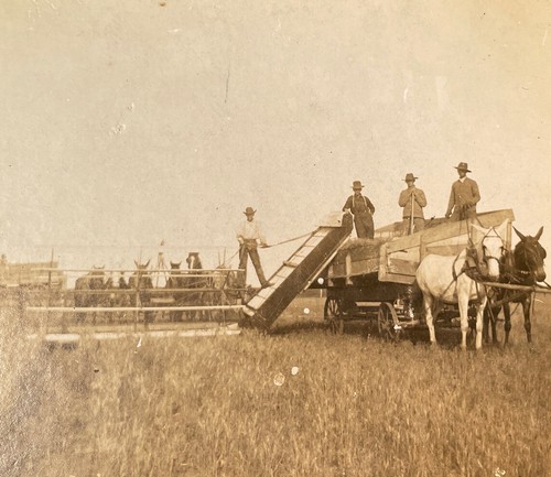 Vintage horse drawn farming - vintage,