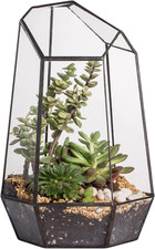 Opened Geometric Glass