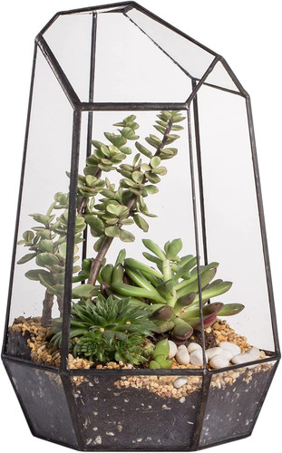 Opened geometric glass - geometric,