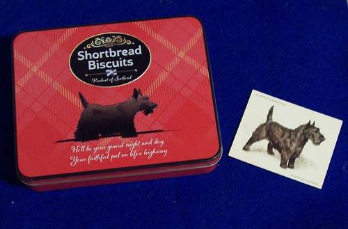 Black scottie tartan tin - black,