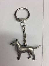 English Bull Terrier PP-D23