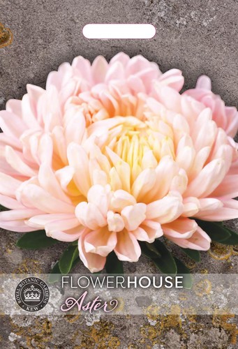 Thompson morgan kew flower - &,