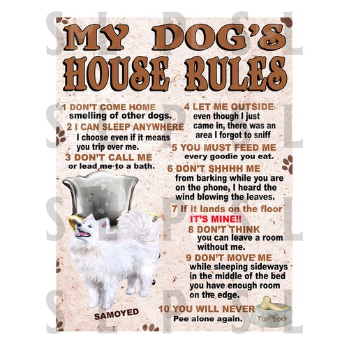 Dog house rules - my, dog's