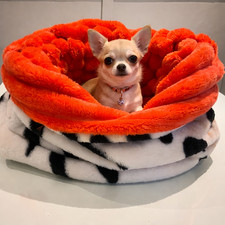 snuggle sack, covered
