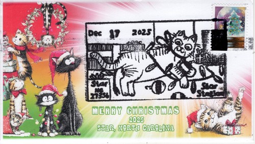 379 2025 christmas - christmas,, star