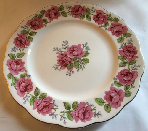 Lady alexander rose queen - lady,