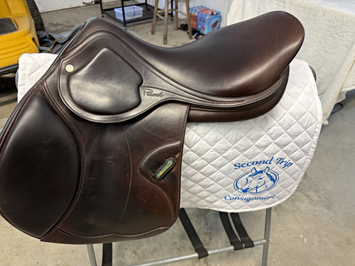 Amerigo pinerlo jumping close - amerigo,