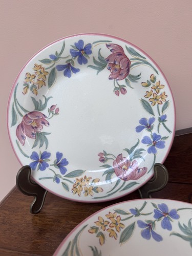 Floral staffordshire tableware - floral,