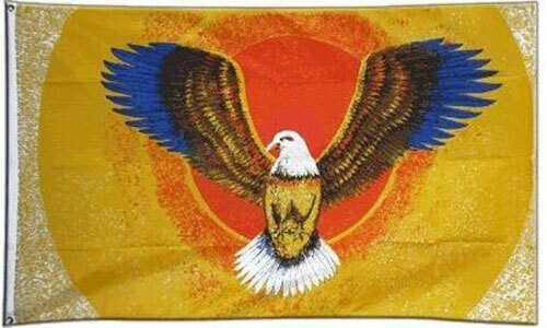 Flying eagle flag 3 - x, usa