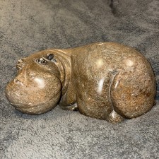 African Hippo Hippopotamus