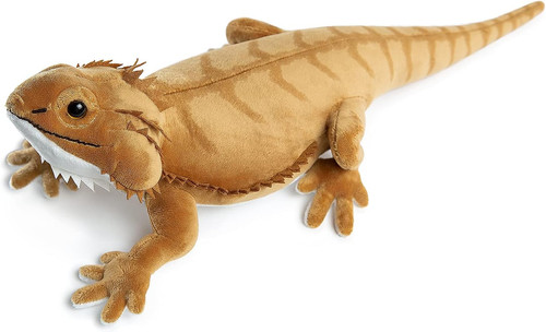 Lizard plush toy bearded - lizard,