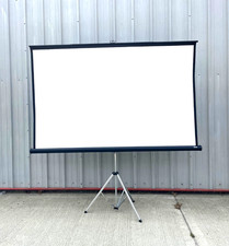Da-Lite 10ft Pro Projection