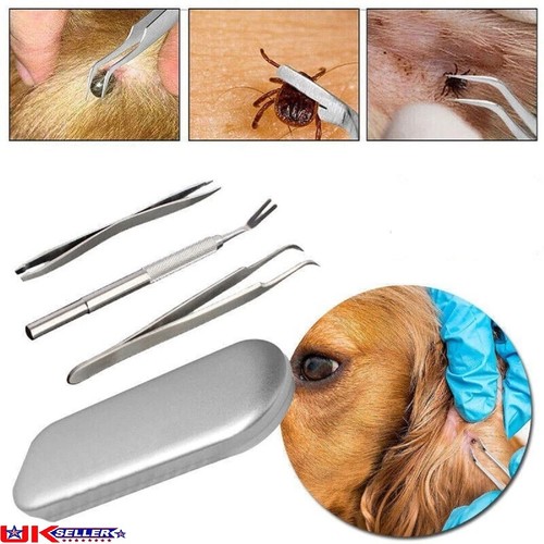 Stainless steel tick remover - tick,