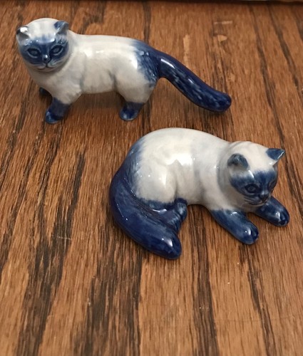 Pair persian cat - of, blue