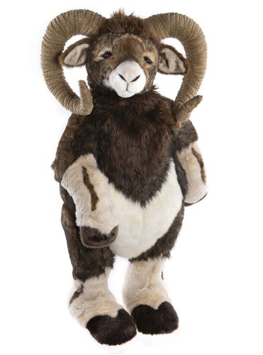 Charlie bears 2024 voyager - 2024,
