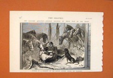 Original Old Antique Print Horse Box Railway Moscow Resihenew Russian Siers