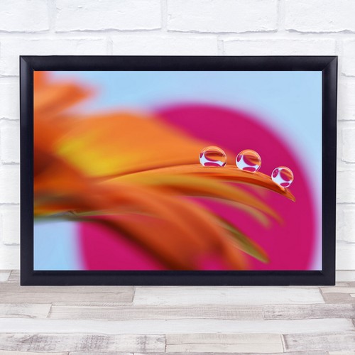Drops water drop droplets - drops,