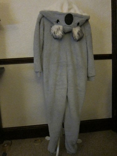 Ladies winter teddy - winter, borg