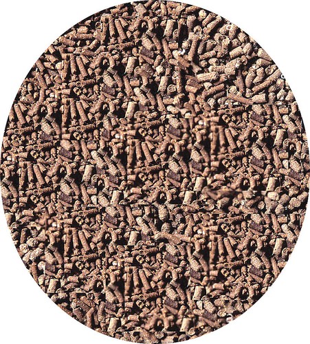Chicken manure pellets - manure,
