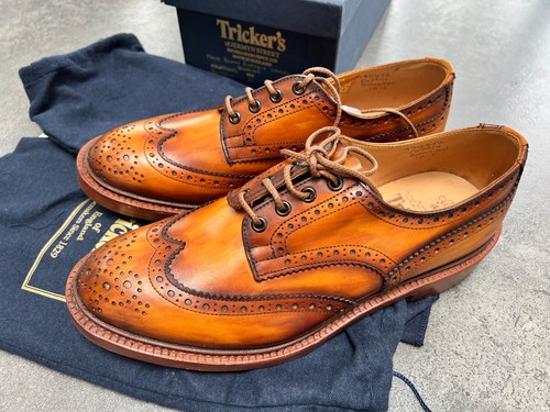 Trickers paulus bolten - paulus,