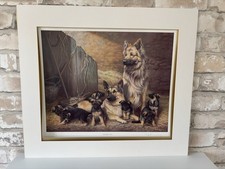 Nigel Hemming’s Shepherds