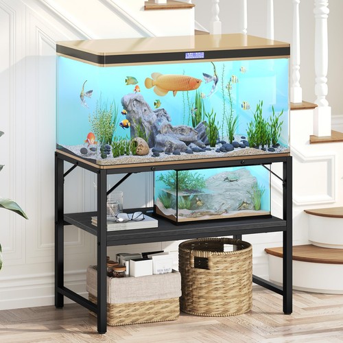 Mahancris gallon fish - 40-50,