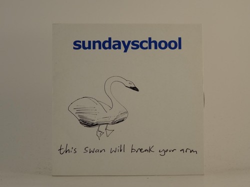 Sunday school this swan - school,