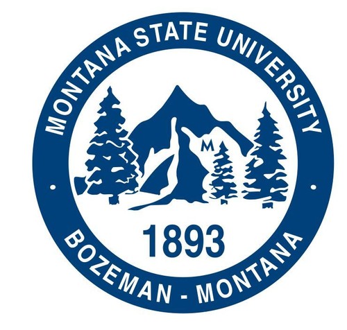 Montana state university - state,