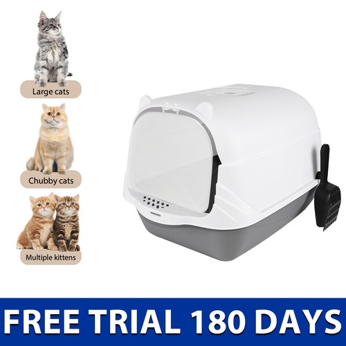 Cat litter tray - litter, box