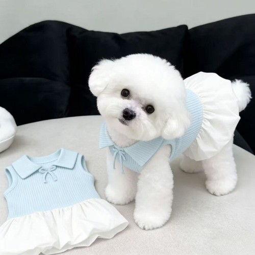 Soft polyester dog - soft,