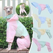 Whippet Greyhound Dog Clothes