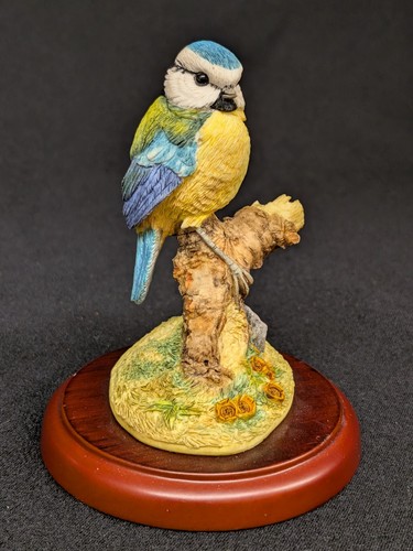 Border fine arts - border,