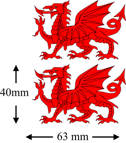 Kids welsh dragon nessa gavin - dragon,