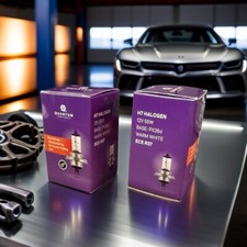 H7 (477,499) 12v 55W PX26d