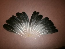 16 WING GOOSE FEATHERS -