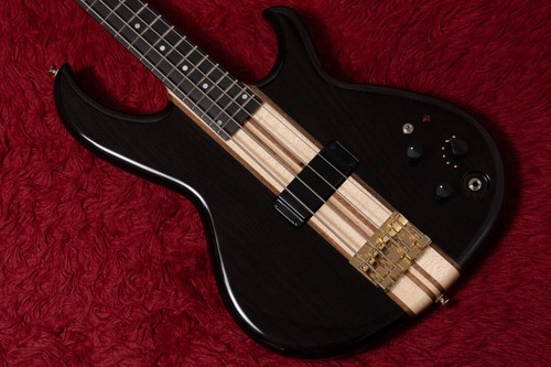 Aria pro 1000 bass - pro, sb-1000