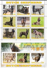 Stamp sheet+block Dutch Shepherd Korea 2021 issue Dogs