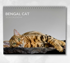 Bengal Cat Calendar 2026: Monthly Wall Calendar with Notes, opens to A3 Size