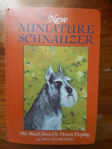Miniature schnauzer dog - miniature,