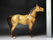 Long brown horse - long,