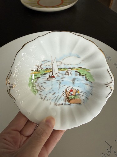 Roslyn fine bone china pins - bone,